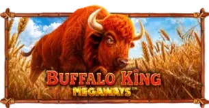 ภาพเกม Buffalo King Megaways ที่ sunday68 รวบรวมไว้